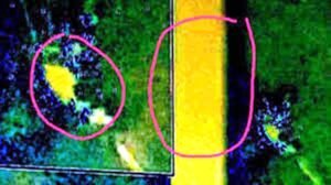 Ara San Juan, lo encontraron justo al año, que misterio lo rodea para píxelar las fotos 3