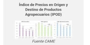 Came, informe sobre el precio de origen de los productos, en referencia al precio de la góndola.