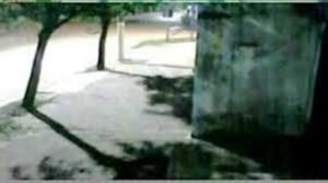 Canal cañuelas noticias transmitiendo en directo.