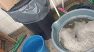 Cañuelas máximo paz, desesperación de comunidad escolar del establecimiento provincial por fosa séptica llena.