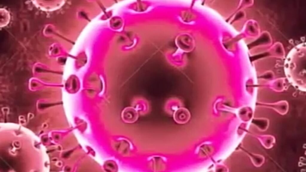Coronavirus COVID- 19 Alerta en Argentina.