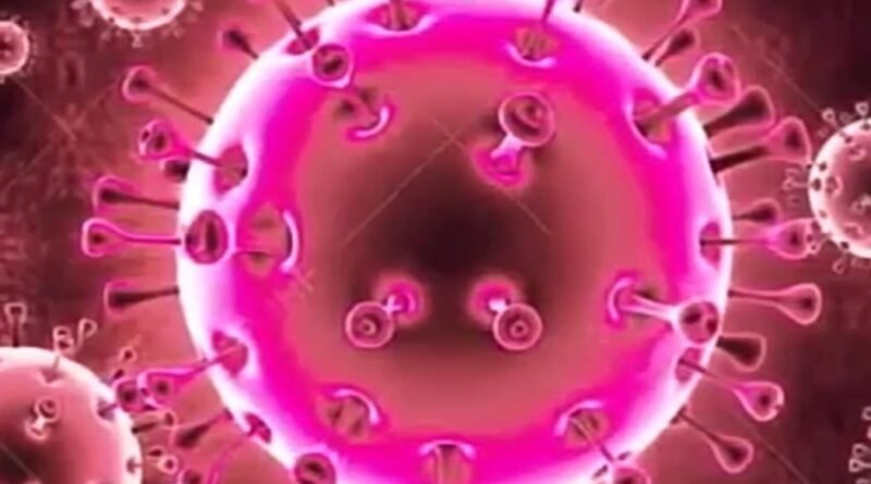 Coronavirus COVID- 19 Alerta en Argentina.