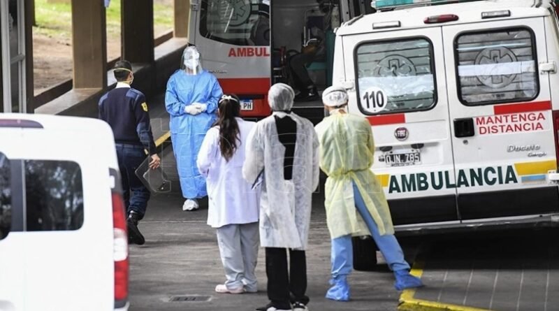 Argentina Coronavirus COVID-19: ascienden a 508 las muertes y hay 14.702 los casos confirmados en el país