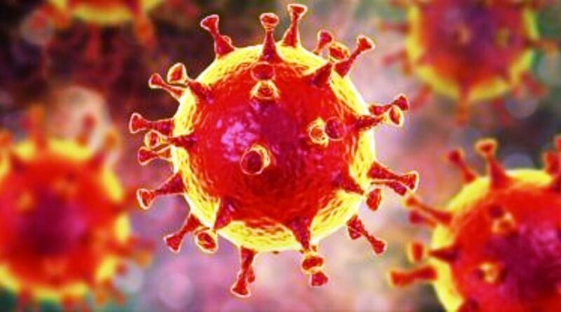 Cañuelas Coronavirus COVID-19: informe Epidemiológico de las autoridades locales 21/05/2020