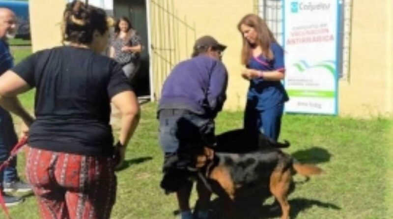  Uribelarrea  partido de Cañuelas: Vacunaciones antirrábicas puerta a puerta.