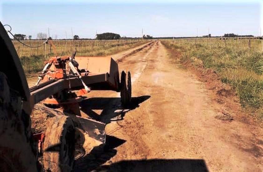 Cañuelas: Tareas de desinfección y limpieza en espacios públicos.