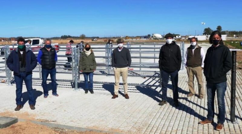 Cañuelas: Se reactivaron las obras del Mercado Agroganadero.