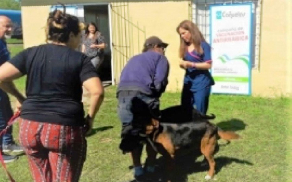  Uribelarrea  partido de Cañuelas: Vacunaciones antirrábicas puerta a puerta.