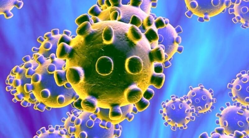 Cañuelas Coronavirus COVID-19: Informe epidemiológico  del  1 de junio del 2020