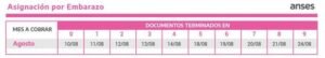Anses: cronograma de pagos del mes de agosto.