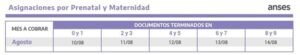 Anses: cronograma de pagos del mes de agosto.