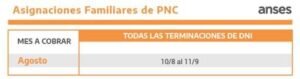 Anses: cronograma de pagos del mes de agosto.
