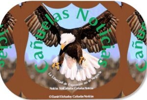 Cañuelas noticias cnoticias de argentina