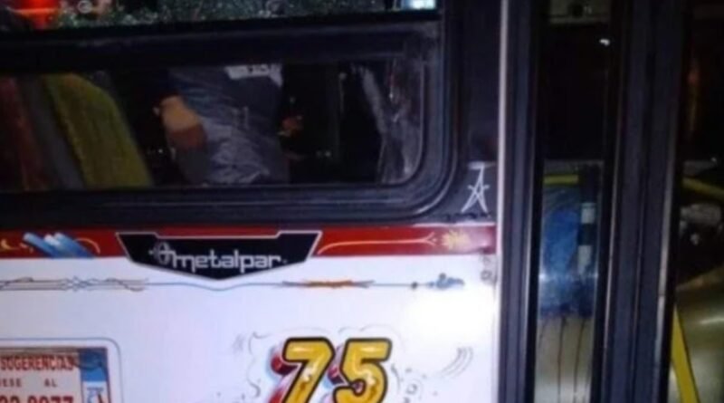 Cañuelas: las líneas 88 y 218 de paro por el asesinato de un Chófer en Virrey del Pino km 38 de la Ruta Nacional N°3.