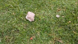 Cañuelas: vecinos aterrados por lluvia de piedras en sus viviendas.