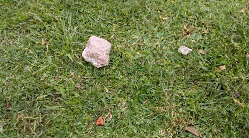 Cañuelas: vecinos aterrados por lluvia de piedras en sus viviendas.