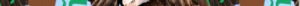 cropped-CNoticias-de-Argentina-scaled-1.jpg