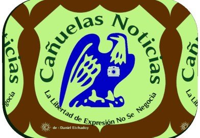 Cañuelas Noticias - en búsqueda de voz y lectura de texto en voz.