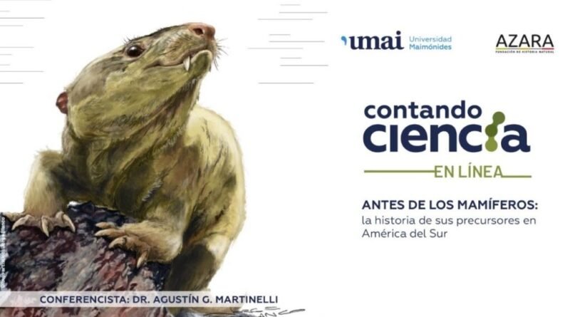 Antes de los mamíferos: la historia de sus precursores en América del Sur