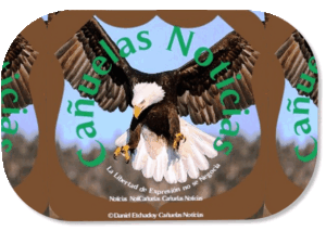 cañuelas noticias giff