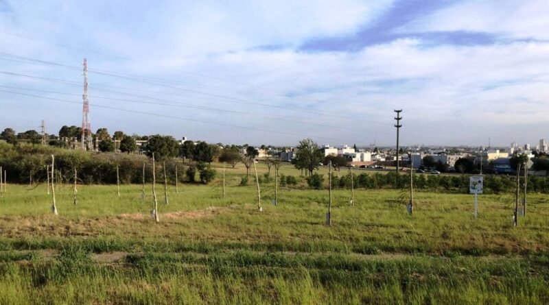 Espert  - Encabezará en Bahía Blanca