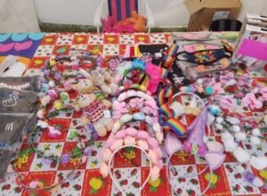 Cañuelas – Detrás de la muerte del Delincuente armado.