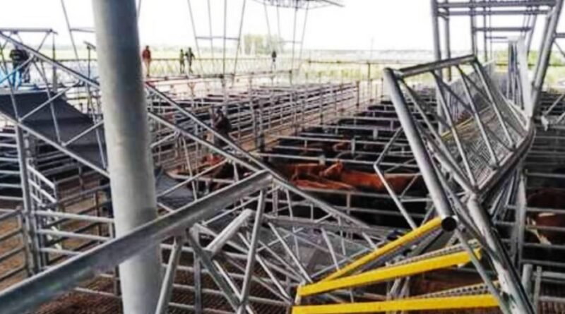 Cañuelas –  Accidente  en las instalaciones del Mercado Agroganadero.