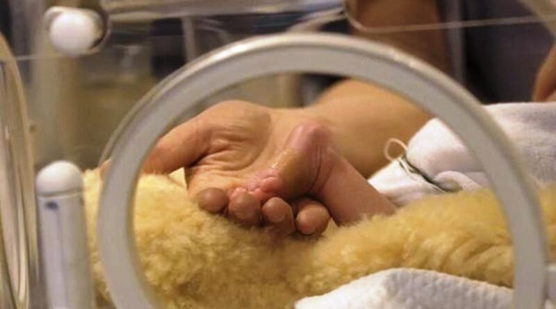 Prematuros – Vinieron antes y quieren quedarse