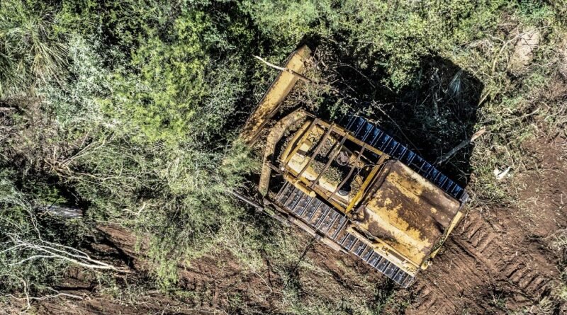 Greenpeace – Que dejó el 2021: ¿avances o deuda ambiental?