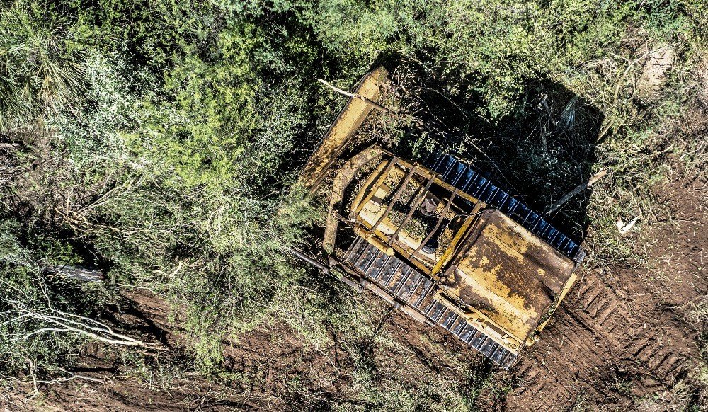 Greenpeace - Que dejó el 2021: ¿avances o deuda ambiental?
