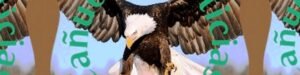 Cropped-cnoticias-de-argentina.jpg