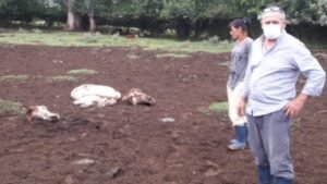 Cañuelas – Detrás de la muerte del Delincuente armado.