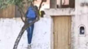 Cañuelas, Calle Libertad al 1300 un individuo salto un paredón, inseguridad.