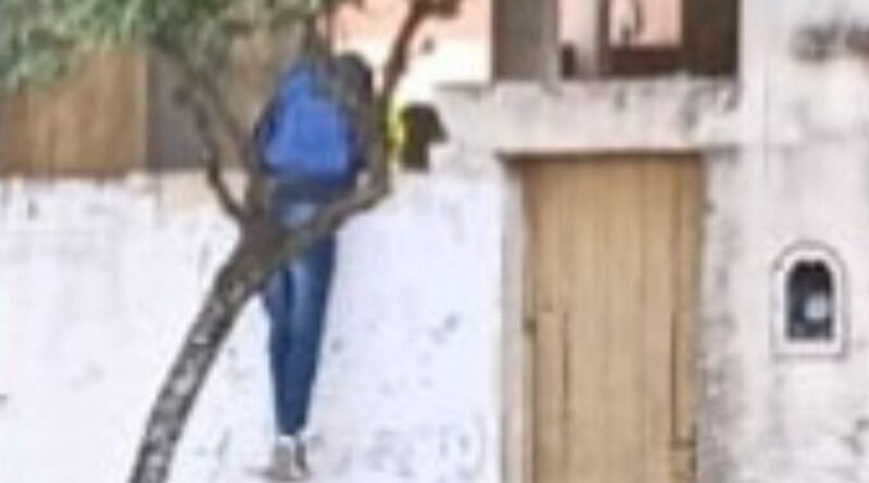 Cañuelas, Calle Libertad al 1300 un individuo salto un paredón, inseguridad.