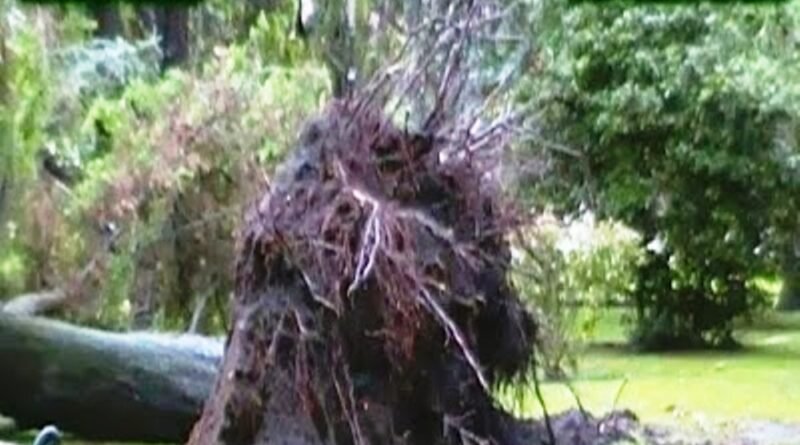 Tornado Por Cañuelas o una Tormenta fuerte, 08 de Febrero de 2014   