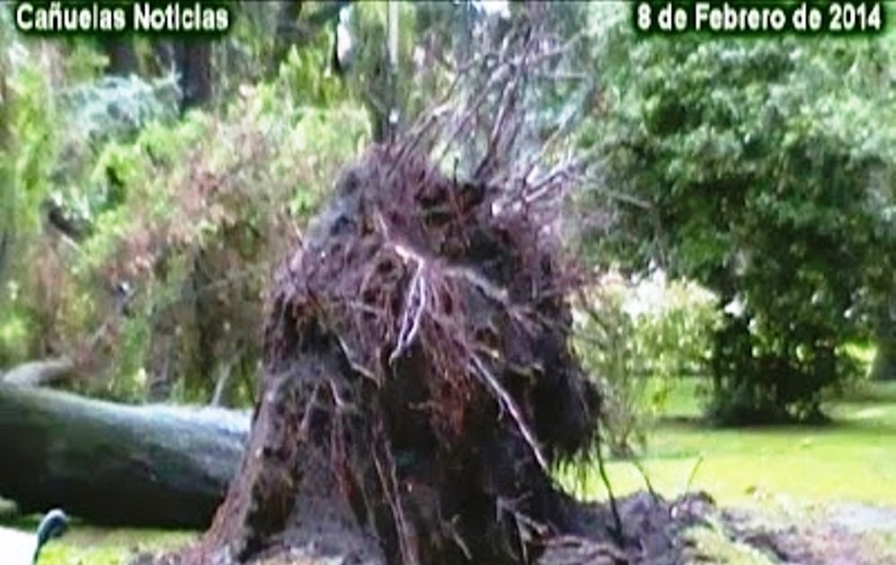 Tornado Por Cañuelas o una Tormenta fuerte, 08 de Febrero de 2014   