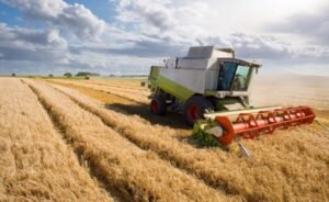 La agroindustria cervecera socio clave en la recuperación económica mundial (1)