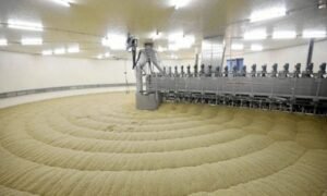 La agroindustria cervecera socio clave en la recuperación económica mundial (3)