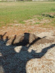 Cañuelas – Detrás de la muerte del Delincuente armado.