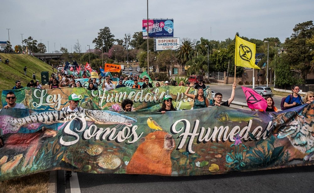 Greenpeace: Los humedales tienen la mejor oportunidad en años de ser protegidos 
