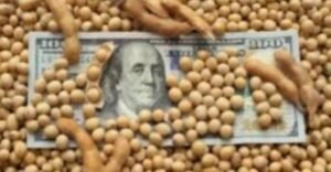 Devaluación del 30%: el dólar soja II pasará a ser el tipo de cambio oficial