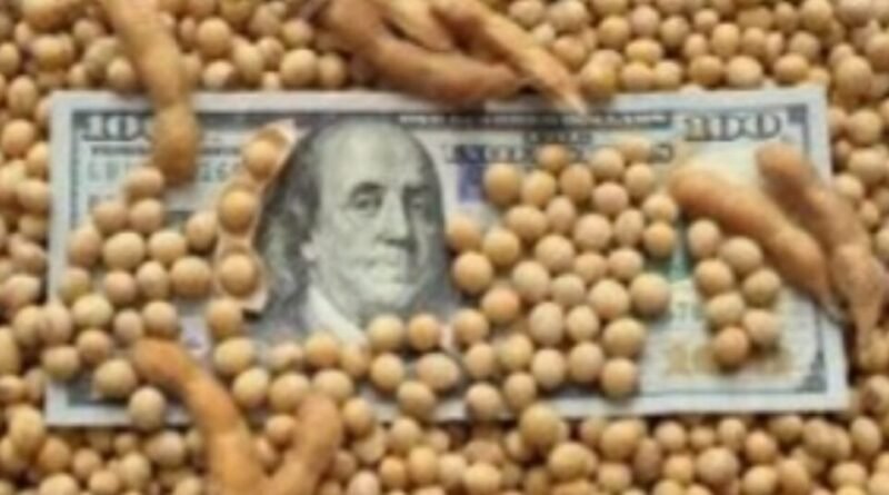 Devaluación del 30%: el dólar soja II pasará a ser el tipo de cambio oficial