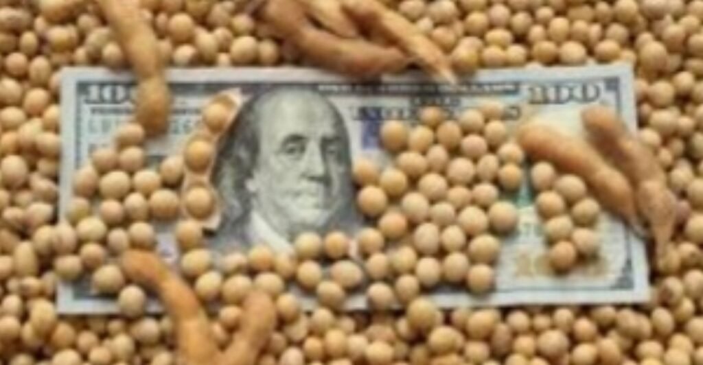 Devaluación del 30%: el dólar soja II pasará a ser el tipo de cambio oficial