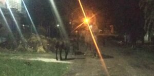 Los Pozos Cañuelas - Siguen los caballos sueltos, por las calles en tropilla.