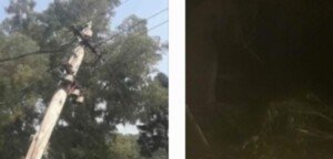 Cañuelas - Un Camión  arranca todos los cables de energía eléctrica de EDESUR hace 22 horas.