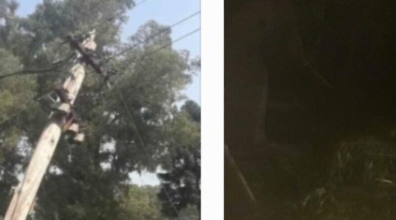 Cañuelas - Un Camión  arranca todos los cables de energía eléctrica de EDESUR hace 22 horas.