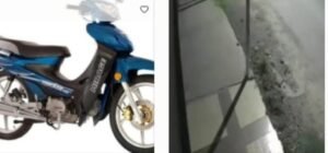Wp-16791181313348679275252030320624