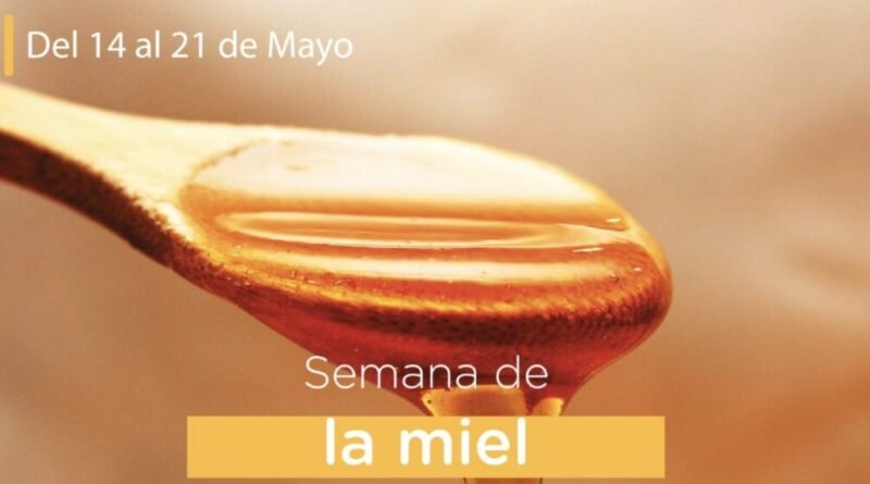 Lobos Semana de la Miel -  del 14 al 21 de mayo*