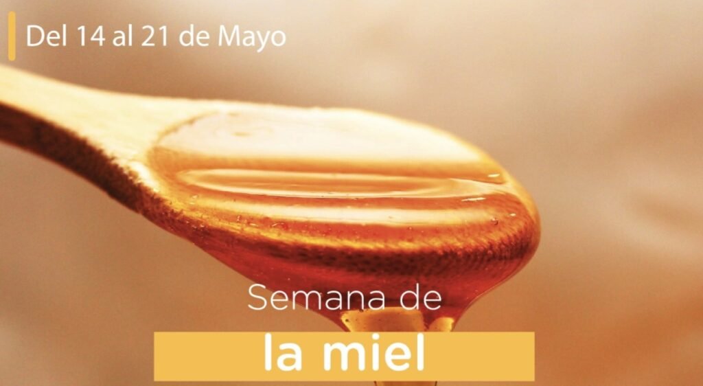 Lobos Semana de la Miel -  del 14 al 21 de mayo*