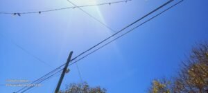 Cañuelas centro alerta – están robando cables del tendido eléctrico y telefónico.